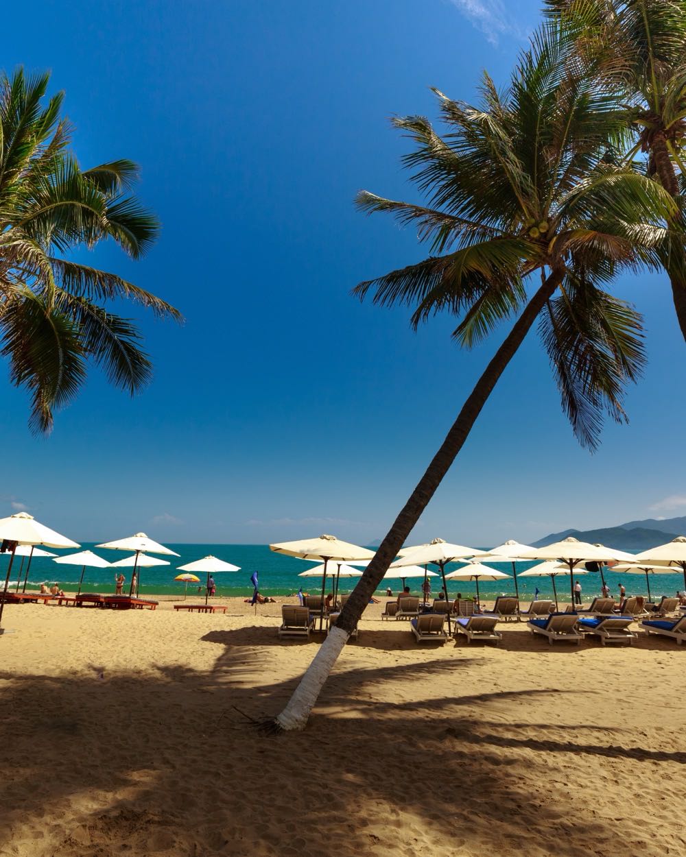 Nha Trang – Mộc Bài
